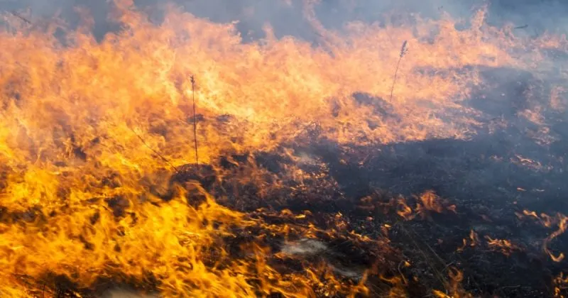 ДСНС повідомляє про жертви пожеж і загибель людей на воді в Україні