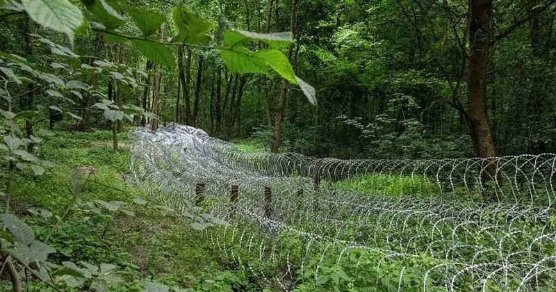 У Сумській області через російський обстріл загинув цивільний мешканець