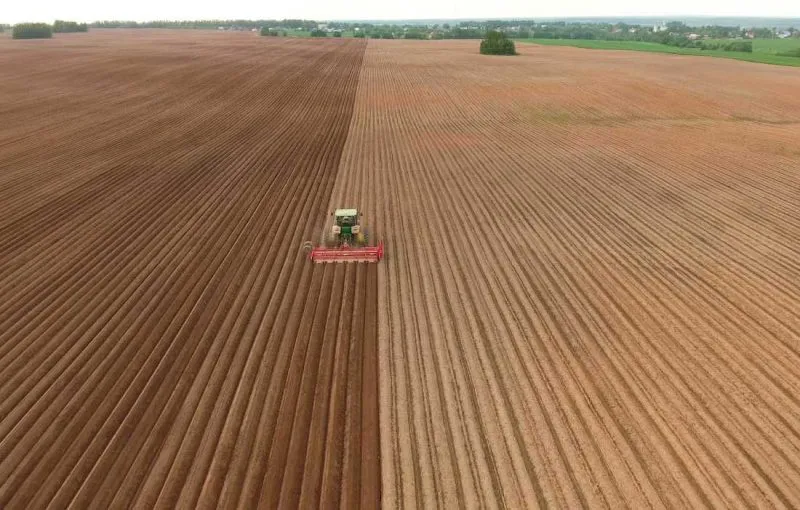 Весняна посівна кампанія: аграрії засіяли 200 тисяч гектарів